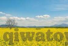 av日韩在线网址-探索日韩AV文化，在线资源与文化现象的多元视角