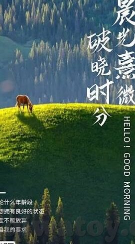 果冻传媒在线-探索果冻传媒在线，数字时代的创意与娱乐新风尚