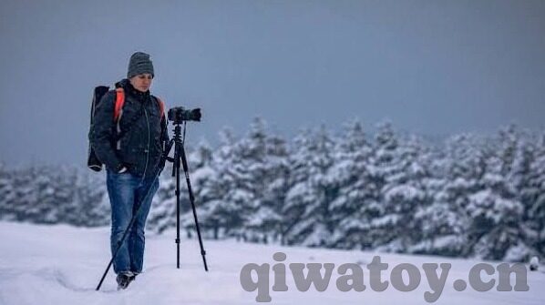 免费观看麻豆av-,寻找网络奇观的合理态度