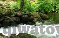 秋霞在线观看麻豆AV-探寻网络内容的真实价值