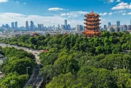 日韩av麻豆综合-与文化边界，探讨日韩AV麻豆综合现象下的社会反思