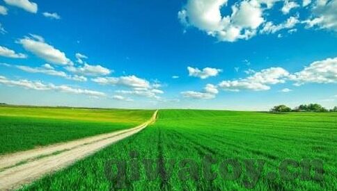 日韩av资源百度-日韩AV资源，网络世界的多元文化探索