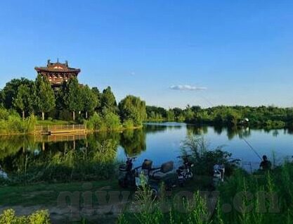糖心app安装-解密糖心，探寻私人定制的魅力